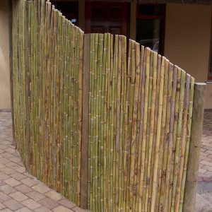 Spanish Reed Fencing Vertical