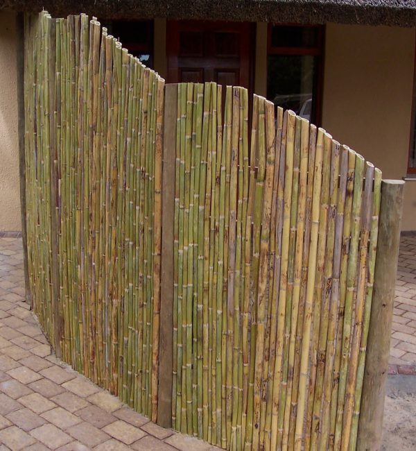Spanish Reed Fencing Vertical